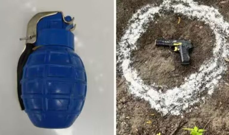 ಗ್ರೆನೇಡ್ ದಾಳಿಗೆ ಸಂಚು ರೂಪಿಸಿದ್ದ, ಪಾಕ್ ಐಎಸ್ಐ ಬೆಂಬಲಿತ ಗುಂಪು: ವಿದೇಶಿ ಮೂಲದ 10 ಹ್ಯಾಂಡ್ಲರ್‌ಗಳ ಬಂಧನ