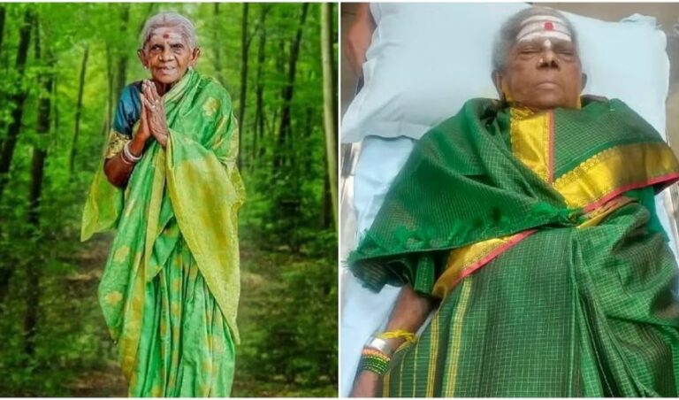 ಭೂಮಿ ಮಡಿಲು ಸೇರಿದ ವೃಕ್ಷಮಾತೆ: ಸಕಲ ಸರ್ಕಾರಿ ಗೌರವಗಳೊಂದಿಗೆ ಸಾಲುಮರದ ತಿಮ್ಮಕ್ಕ ಅಂತ್ಯಕ್ರಿಯೆ