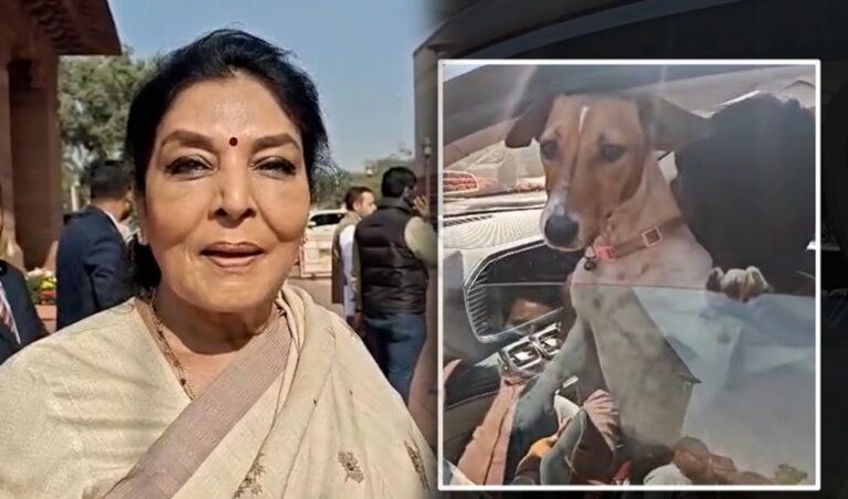 ‘ನಿಜವಾದ ನಾಯಿಗಳು ಸಂಸತ್ತಿನಲ್ಲಿ ಕುಳಿತಿವೆ, ಅವು ಪ್ರತಿದಿನ ಜನರನ್ನು ಕಚ್ಚುತ್ತಿವೆ’: ಸಂಸದೆ ರೇಣುಕಾ ಚೌಧರಿ