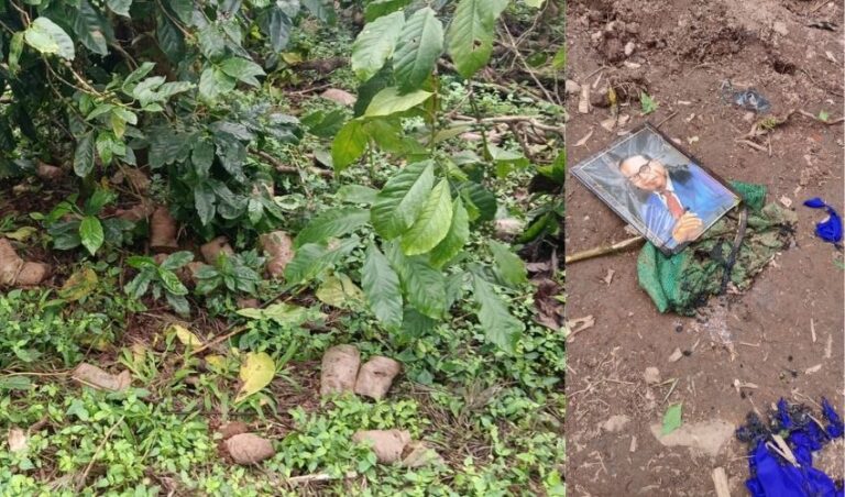 ಚಿಕ್ಕಮಗಳೂರು| ದಲಿತರ ಜಮೀನಿಗೆ ನುಗ್ಗಿ ಬೆಳೆ ನಾಶ; ಪ್ರಬಲ ಜಾತಿ ಜನರಿಂದ ವಿನಾಕಾರಣ ತೊಂದರೆ