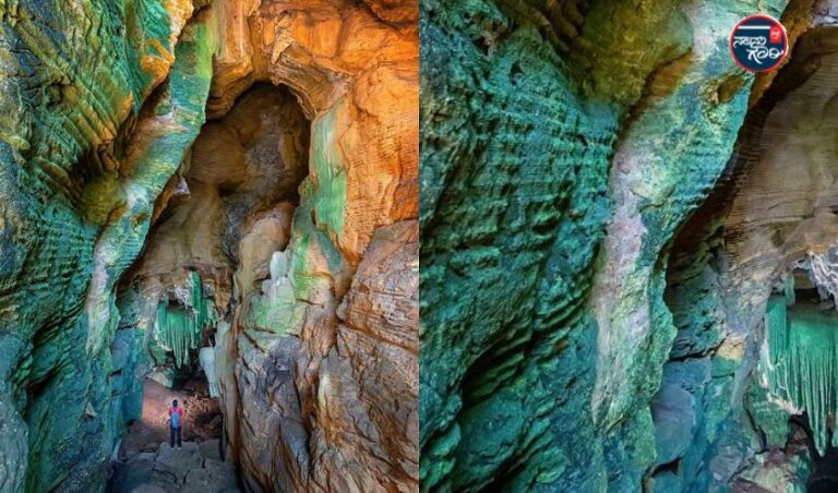 ಗ್ರೀನ್ ಕೇವ್ ನಿಂದ ಪ್ರವಾಸಿಗರನ್ನು ದೂರವಿಡಿ: ಛತ್ತೀಸ್‌ಗಢ ಸರ್ಕಾರಕ್ಕೆ ಪರಿಸರವಾದಿಗಳ ಎಚ್ಚರಿಕೆ