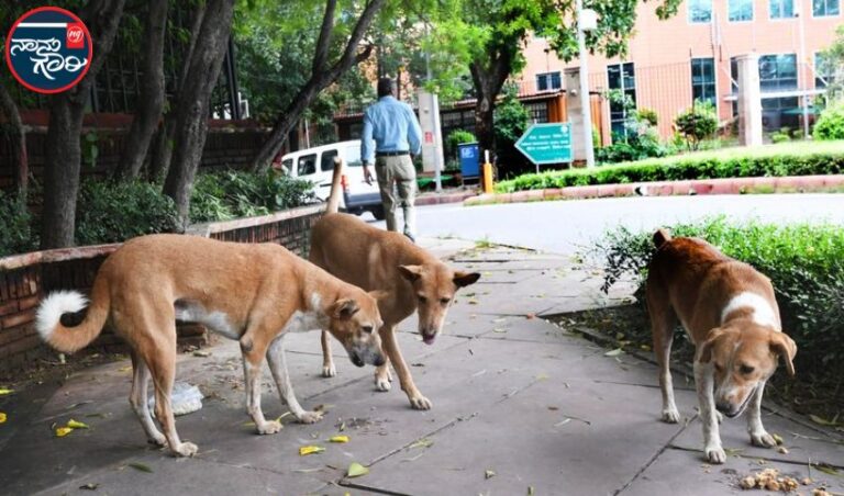 ಬಿಹಾರ: ಸರ್ಕಾರಿ ಶಾಲಾ ಶಿಕ್ಷಕರಿಗೆ ಬೀದಿ ನಾಯಿಗಳನ್ನು ಎಣಿಸುವ ಹೆಚ್ಚುವರಿ ಕರ್ತವ್ಯ ವಹಿಸಿದ ಪುರಸಭೆ  