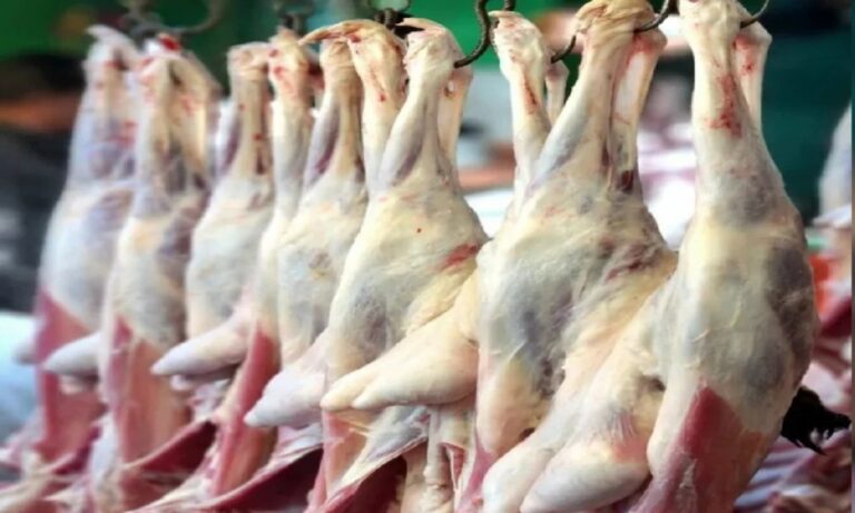 ಒಡಿಶಾ : ಗಣರಾಜ್ಯೋತ್ಸವ ದಿನ ಮಾಂಸ, ಮೊಟ್ಟೆ, ಮೀನು ಮಾರಾಟ ನಿಷೇಧಿಸಿದ ಜಿಲ್ಲಾಡಳಿತ!