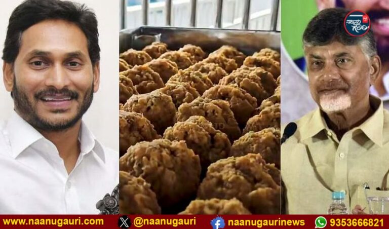 ‘ತಿರುಪತಿ ಲಡ್ಡುಗಳಲ್ಲಿ ರಾಸಾಯನಿಕಗಳಿಂದ ಮಾಡಿದ ತುಪ್ಪ ಬಳಸಲಾಗುತ್ತಿತ್ತು’: ವೈಎಸ್ಆರ್ಸಿಪಿ ಸರ್ಕಾರದ ವಿರುದ್ಧ ಆಂಧ್ರ ಸಿಎಂ ಆರೋಪ