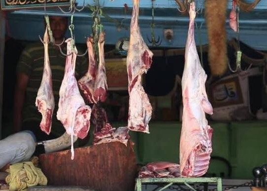 ಮಕ್ಕಳಲ್ಲಿ ಹಿಂಸಾತ್ಮಕ ಪ್ರವೃತ್ತಿ ತಡೆಯಲು ಮೀನು-ಮಾಂಸ ಮಾರಾಟ ನಿಷೇಧ: ಬಿಹಾರ ಉಪಮುಖ್ಯಮಂತ್ರಿ