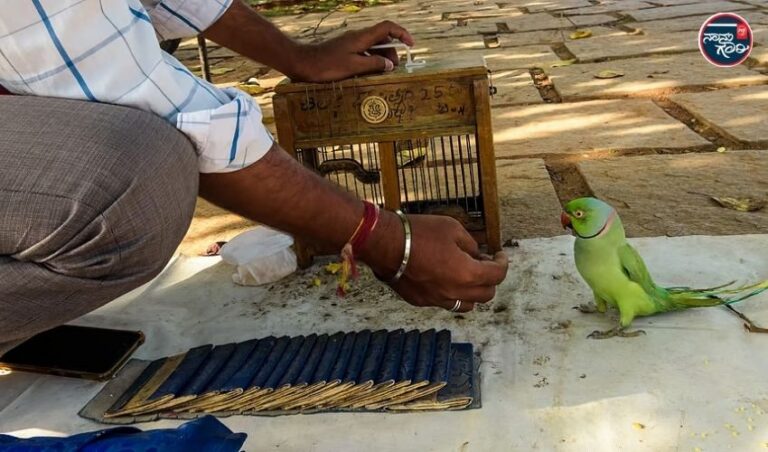 ಬೆಂಗಳೂರು: ವಿಶೇಷ ಪೂಜೆ ಹೆಸರಿನಲ್ಲಿ ಐಟಿ ಅಧಿಕಾರಿಗೆ 35 ಲಕ್ಷ ವಂಚನೆ: 59 ವರ್ಷದ ‘ಗಿಳಿ ಶಾಸ್ತ್ರ’ ಹೇಳುವ ವ್ಯಕ್ತಿ ಬಂಧನ