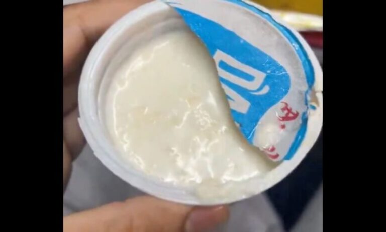 ವಂದೇ ಭಾರತ್ ಪ್ರಯಾಣಿಕನಿಗೆ ಕೊಟ್ಟ ಮೊಸರಿನಲ್ಲಿ ಜೀವಂತ ಹುಳುಗಳು ಪತ್ತೆ; ಮಾರಾಟಗಾರನಿಗೆ ದಂಡ