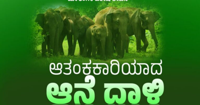 ಆತಂಕಕಾರಿಯಾದ ಆನೆ ದಾಳಿ