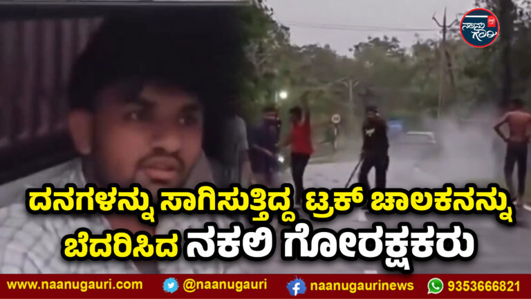 ಗುಜರಾತ್‌| ದನಗಳನ್ನು ಸಾಗಿಸುತ್ತಿದ್ದ ಟ್ರಕ್ ಚಾಲಕನನ್ನು ಬೆದರಿಸಿದ ನಕಲಿ ಗೋರಕ್ಷಕರು