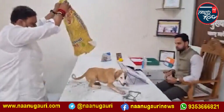 ನಾಸಿಕ್‌| ಅಧಿಕಾರಿಯ ಮೇಜಿನ ಮೇಲೆ ಬೀದಿ ನಾಯಿಗಳನ್ನು ಬಿಟ್ಟ ಪ್ರತಿಭಟನಾಕಾರರು